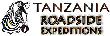 Road Logo
